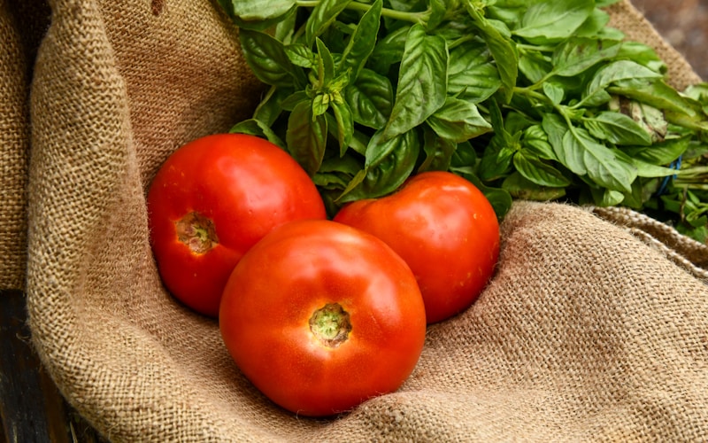 Shoprite Meat Special 25% Off